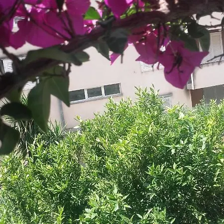 Centar 2* Макарська